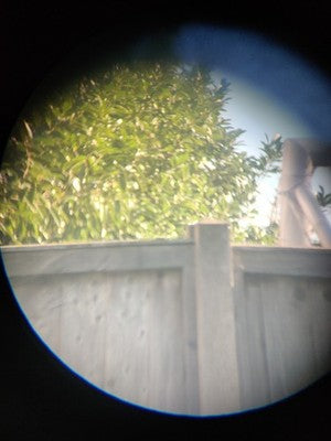 Vintage Halina Discovery 16x50 FG Field 3.9° Binoculars