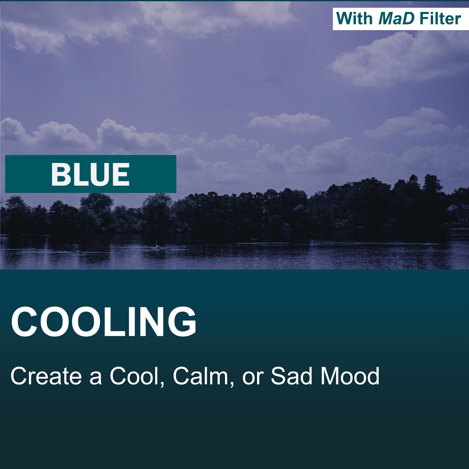 Blue Full Colour Camera Lens Filter image 3