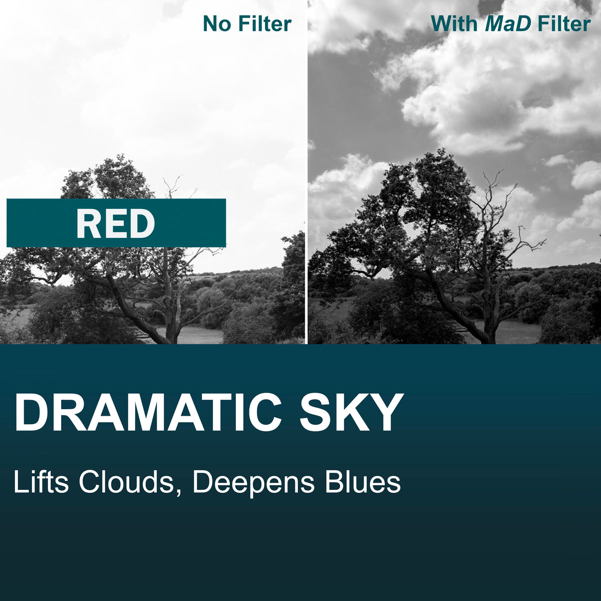 Red Full Colour Camera Lens Filter image 2