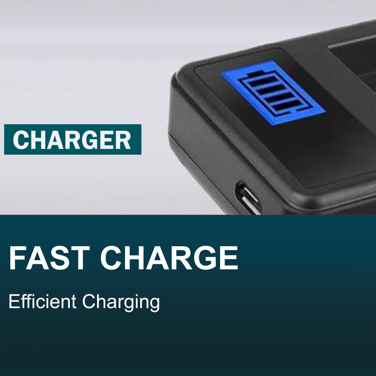 NP-BX1 USB Battery Charger For Sony Action / POV Cam HDR-GW66 GWP88