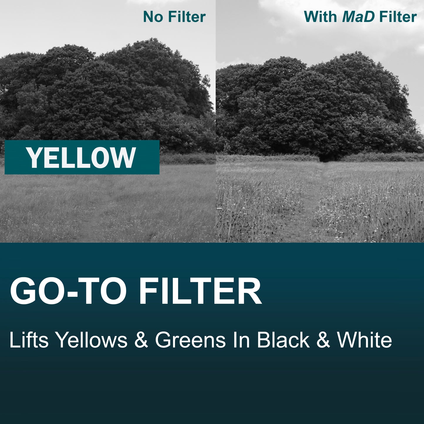 Yellow Full Colour Camera Lens Filter image 2