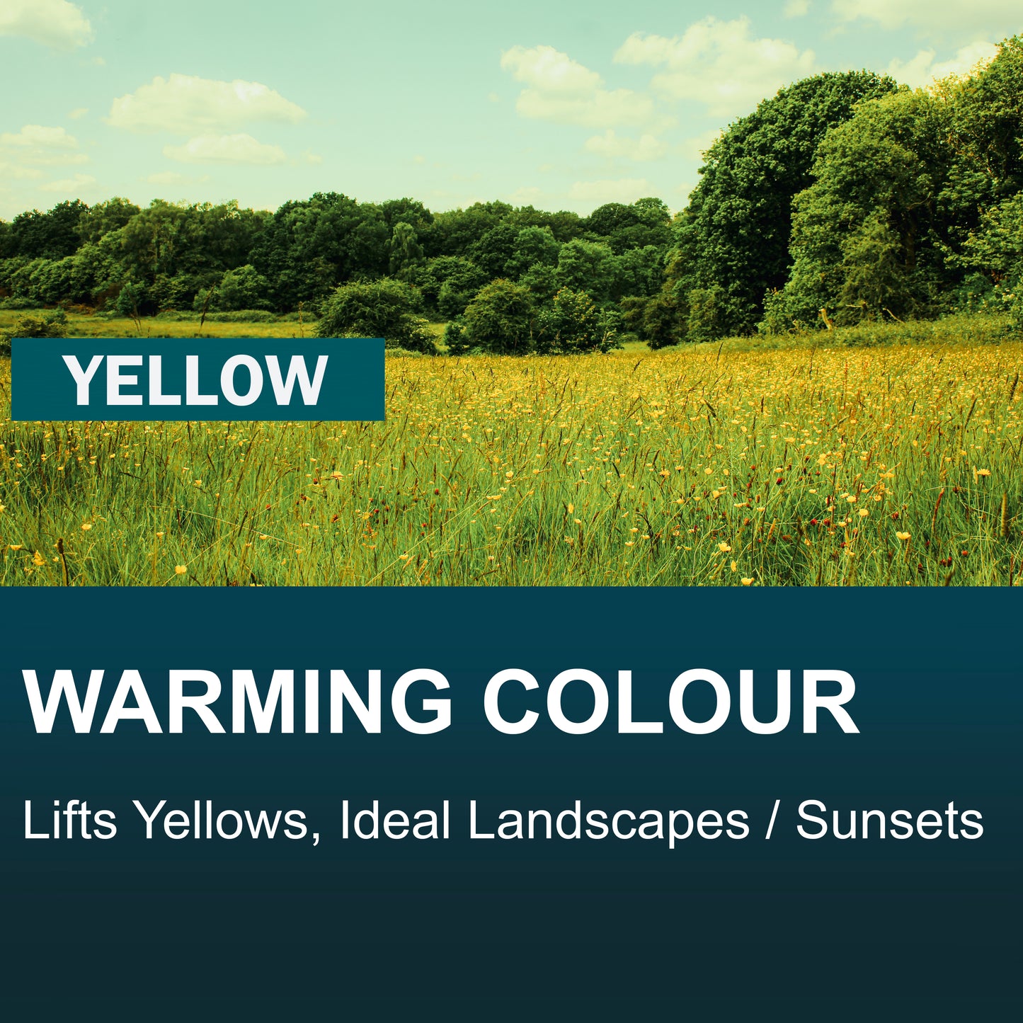 Yellow Full Colour Camera Lens Filter image 1