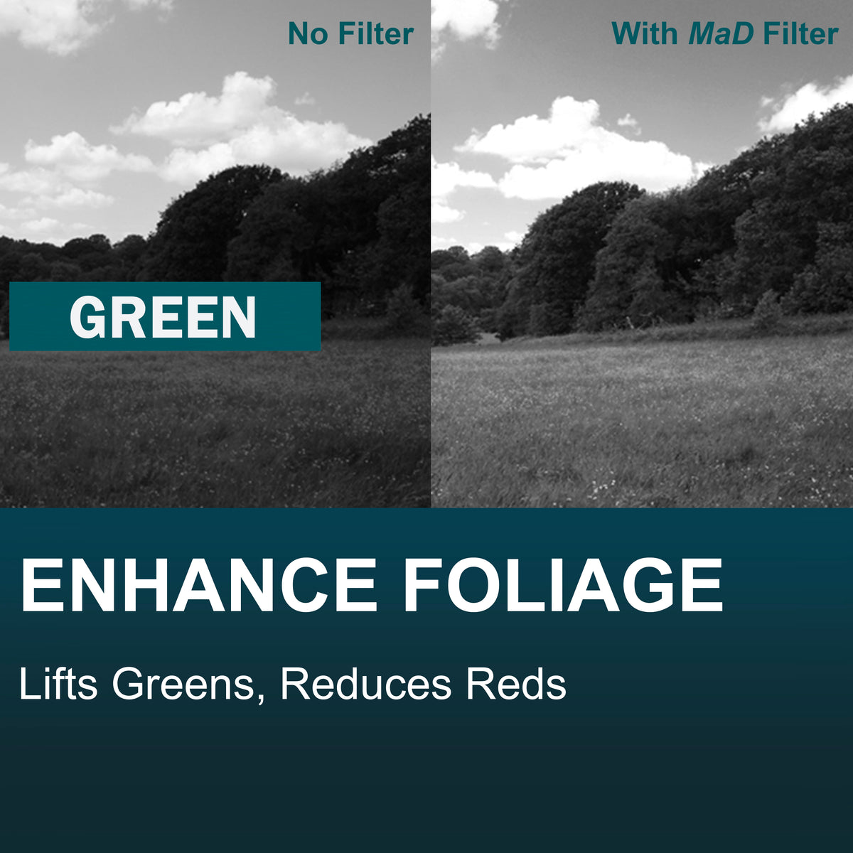Green Full Colour Camera Lens Filter image 1