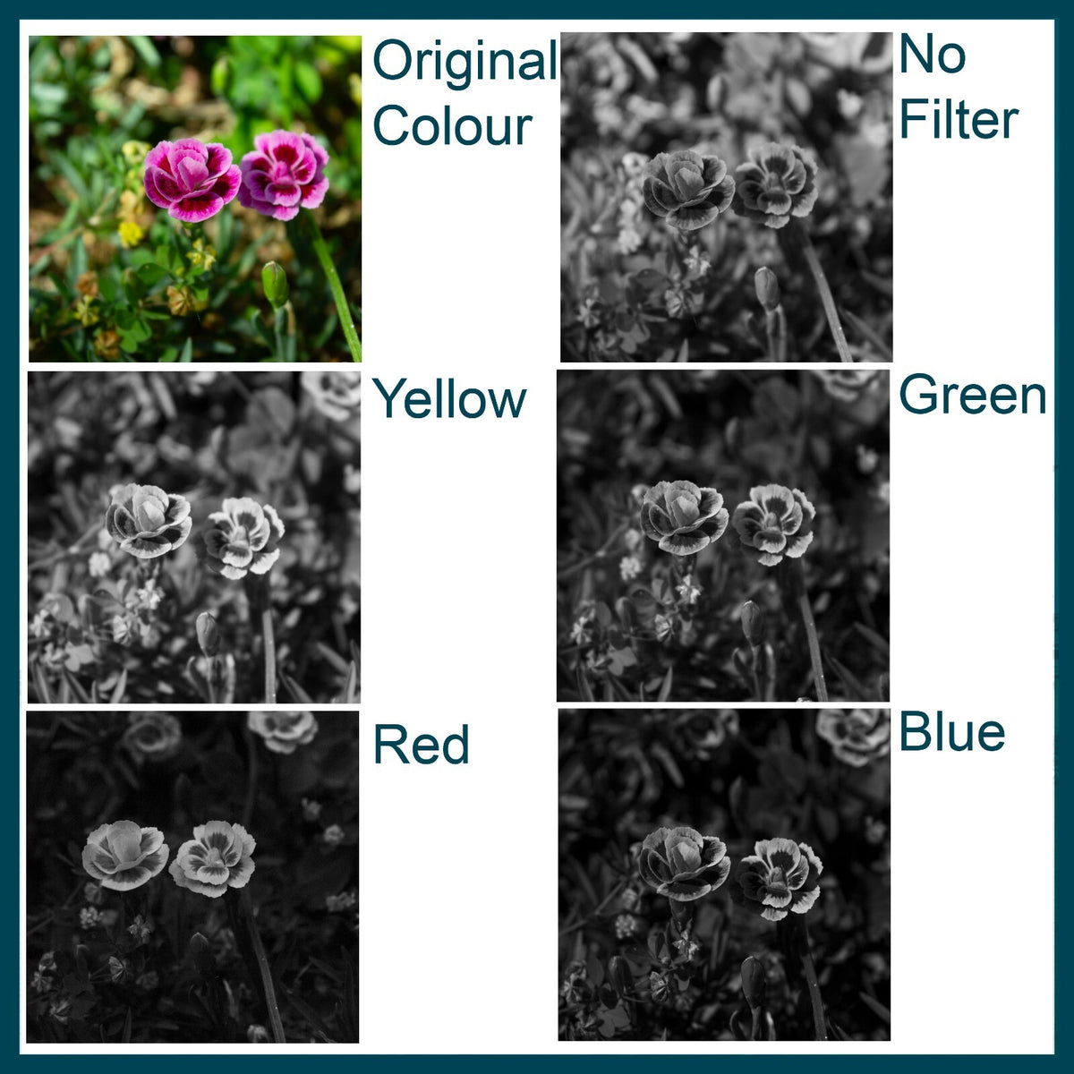 Blue Camera Lens Filter - Ideal for Black and White