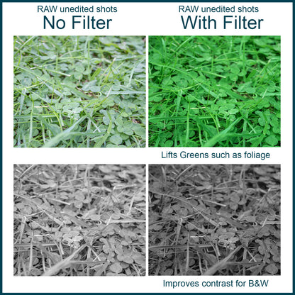 Green Camera Lens Filter - Black and White Photography