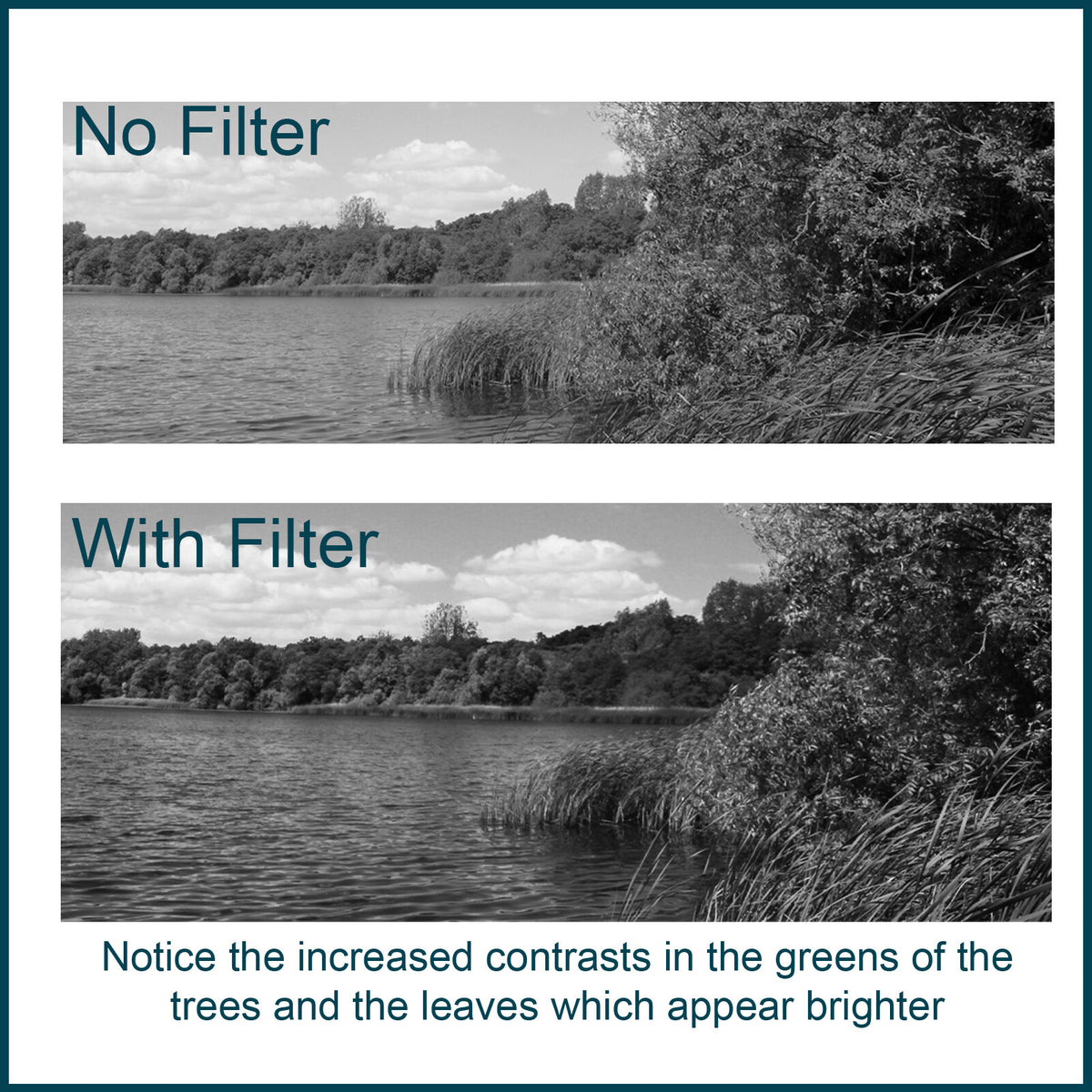 Green Camera Lens Filter - Black and White Photography